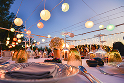 iStock 479977238 2 Kopie